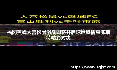 福冈黄蜂大宫松鼠激战即将开启球迷热情高涨期待精彩对决